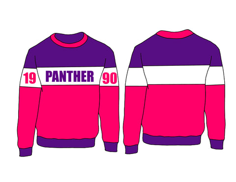 SLG Color Block Sweatshirt | Sigma Lambda Gamma