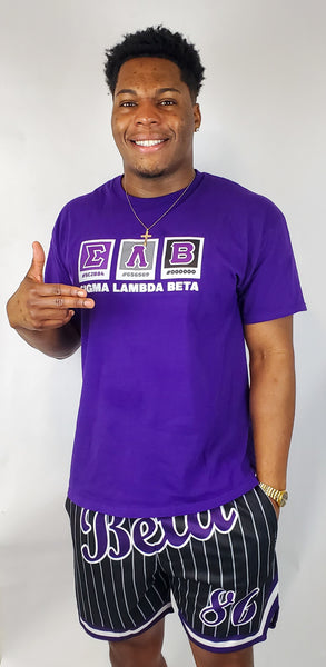 SLB Pantone Shades | Sigma Lambda Beta