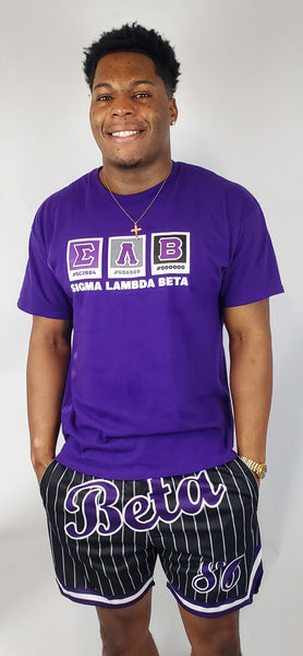 SLB Pantone Shades | Sigma Lambda Beta