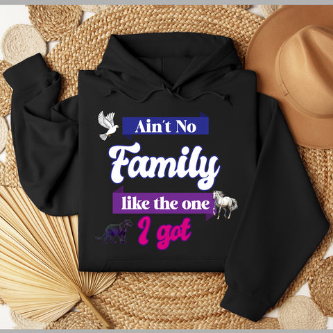 Ain't No Family Like The One I Got Hoodie - FIRM Family