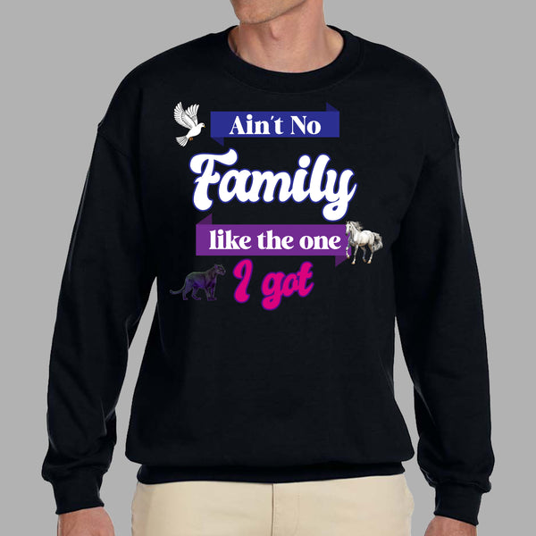 Ain't No Family Like The One I Got Sweatshirt - FIRM Family
