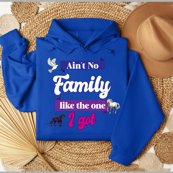 Ain't No Family Like The One I Got Hoodie - FIRM Family
