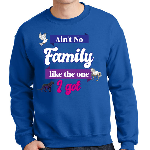 Ain't No Family Like The One I Got Sweatshirt - FIRM Family