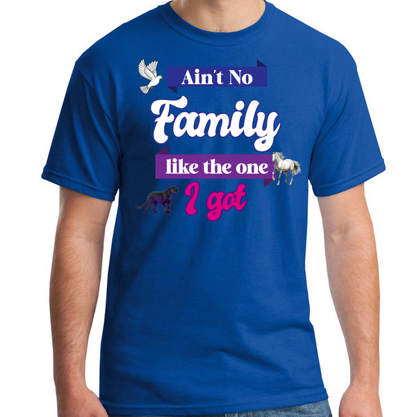 Ain't No Family Like The One I Got Tee - FIRM Family