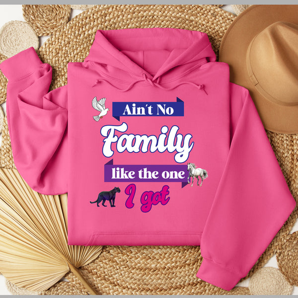 Ain't No Family Like The One I Got Hoodie - FIRM Family