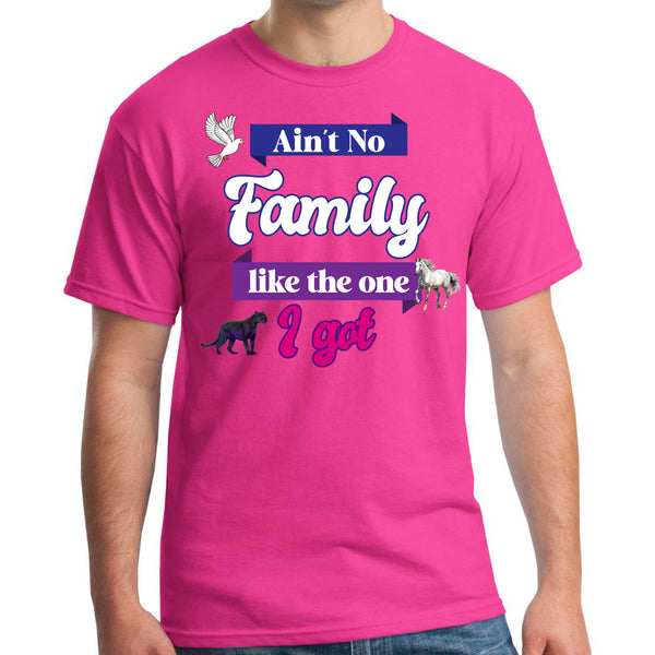 Ain't No Family Like The One I Got Tee - FIRM Family