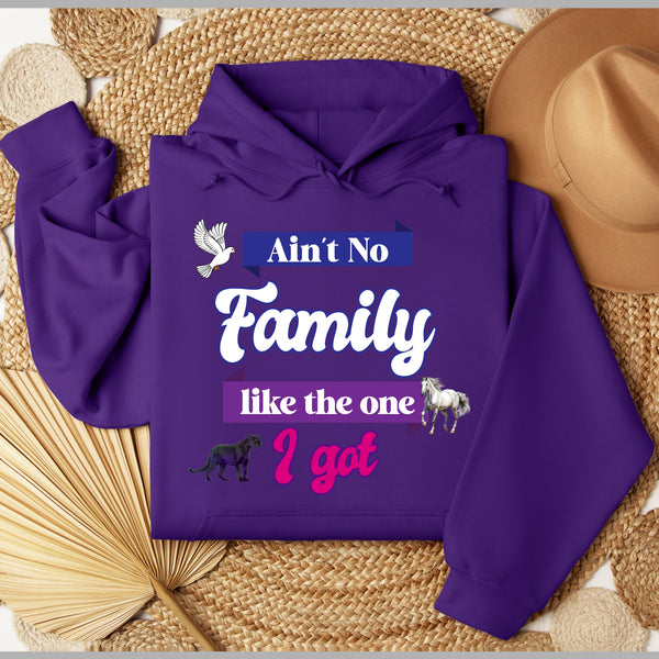 Ain't No Family Like The One I Got Hoodie - FIRM Family