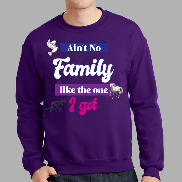 Ain't No Family Like The One I Got Sweatshirt - FIRM Family