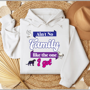 Ain't No Family Like The One I Got Hoodie - FIRM Family
