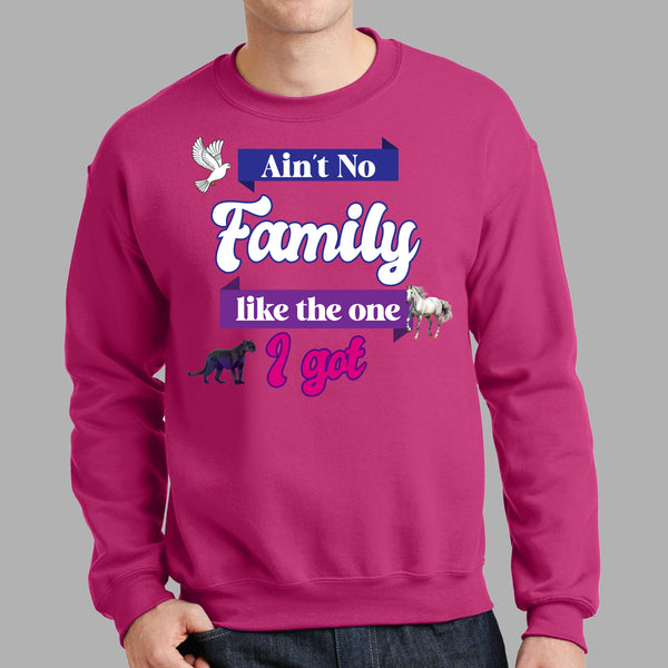 Ain't No Family Like The One I Got Sweatshirt - FIRM Family