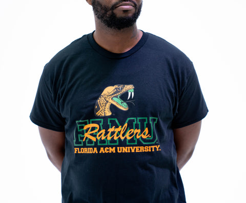 Collegiate | Florida A&M University