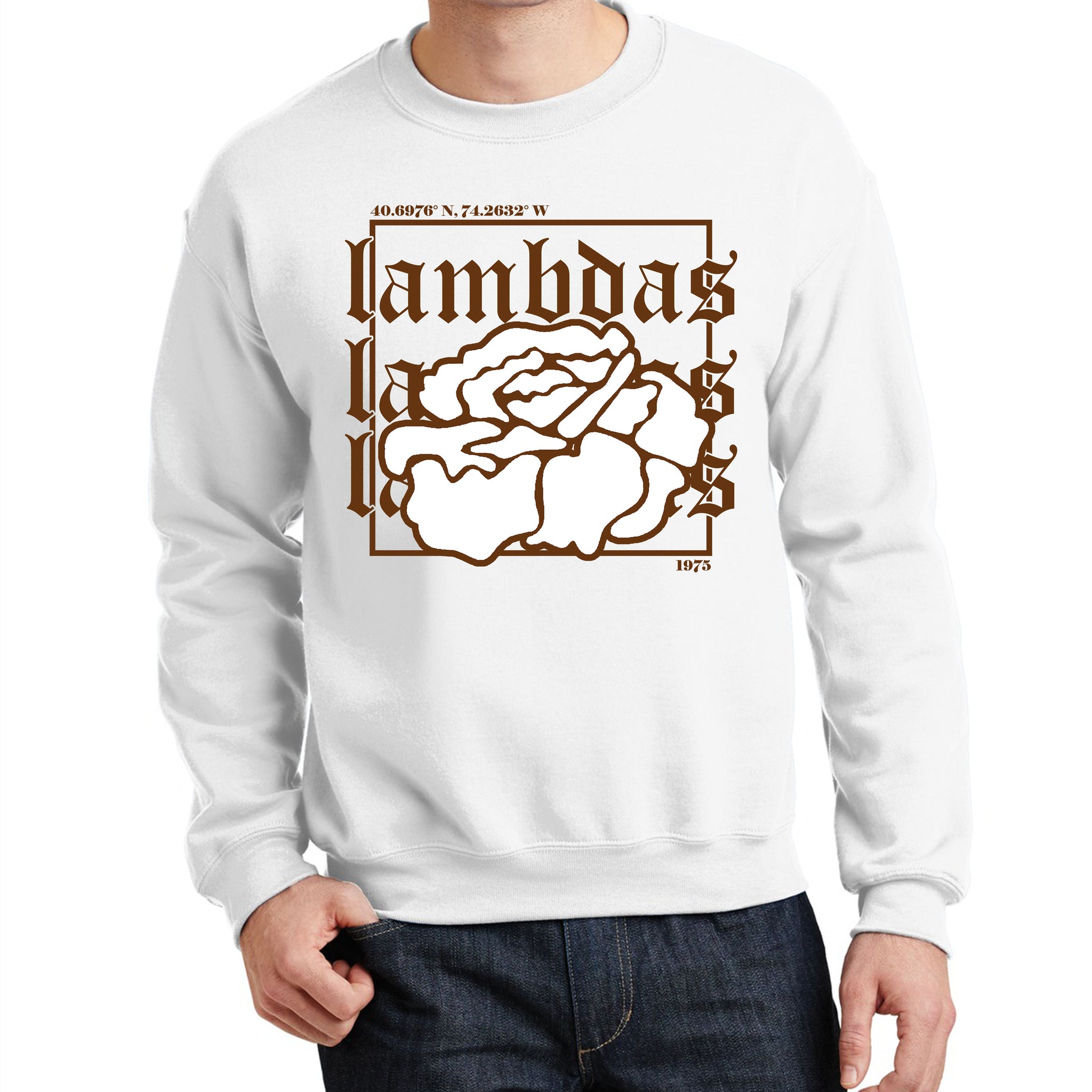 Lambda Coordinates | Lambda Theta Phi