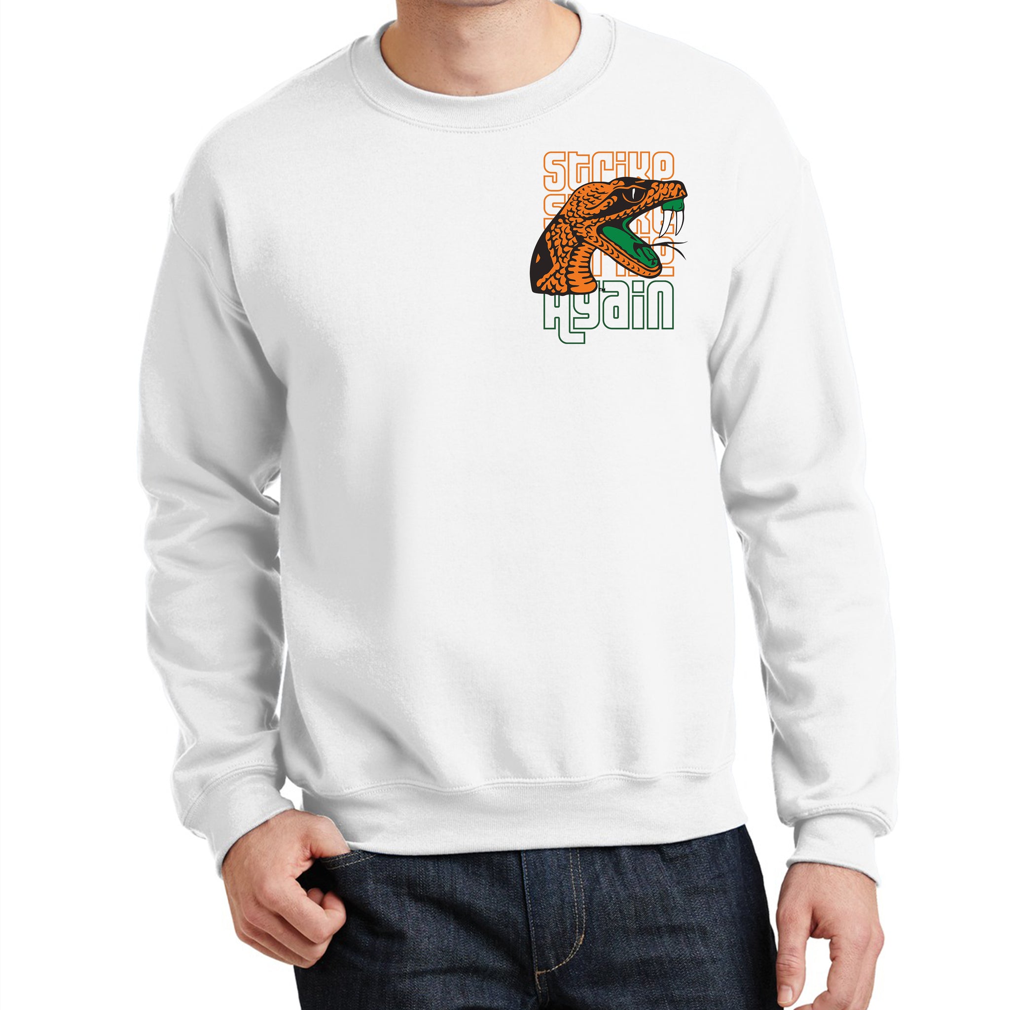 Strike Again! | Florida A&M University
